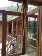 Blockhaus mit Seeblick Sauna