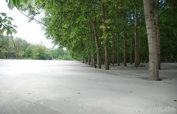 Südseeimpressionen aus ?