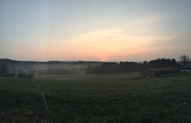 mOsi, werner moser, neuhaus, blog