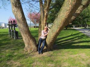 Linz, blog, mosi, werner moser, carolin moser