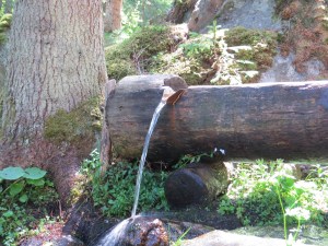 Ferienwohnung Soller, Bramberg, Wildkogel, Österreich , Most, Most blog werner moser , Carolin moser