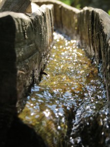 Ferienwohnung Soller, Bramberg, Wildkogel, Österreich , Most, Most blog werner moser , Carolin moser