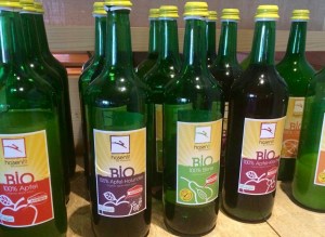 Holzhotel Forsthofalm Leogang