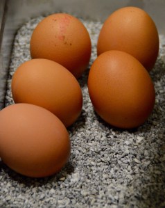 Holzhotel Forsthofalm Leogang