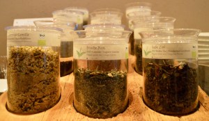 Holzhotel Forsthofalm Leogang