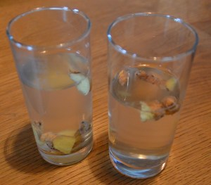 Holzhotel Forsthofalm Leogang