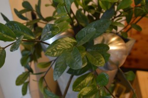 Holzhotel Forsthofalm Leogang