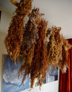 Holzhotel Forsthofalm Leogang