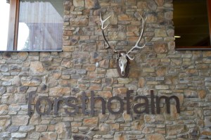 Holzhotel Forsthofalm Leogang