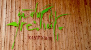 Holzhotel Forsthofalm Leogang