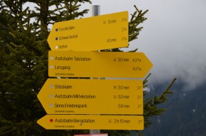 Holzhotel Forsthofalm Leogang