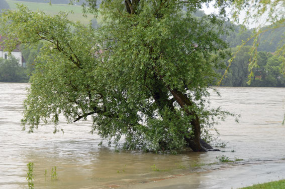 hochwasser2016_1