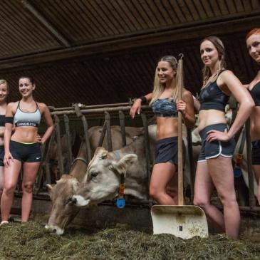 Jungbauernkalender 2017