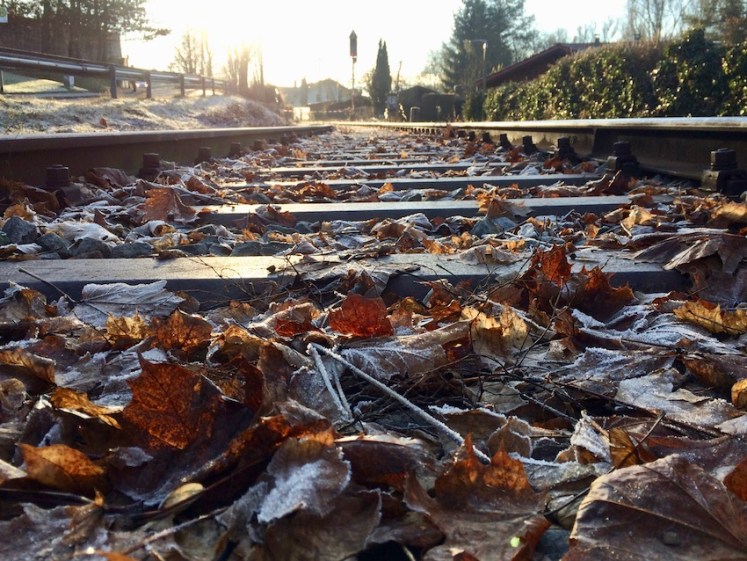 mosi-unterwegs, travel, Fotografie 