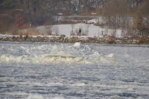 Donau in Eis, travel.mosi-unterwegs.de