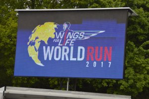 Wings for life 2017