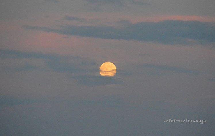 mosi-unterwegs - Fotografie 