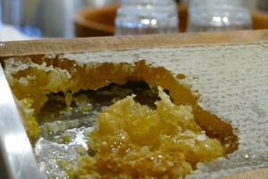 Hotel Terentner Hof