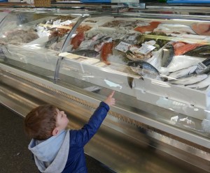 Hotel Belvedere in Jenesien, Südtirol - mosi-unterwegs