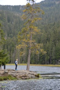 Hotel Lindenwirt - mosi-unterwegs