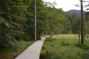 Hotel Lindenwirt - mosi-unterwegs