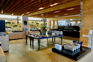 Hotel Lindenwirt - mosi-unterwegs