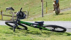 Almzeit mosiunterwegs