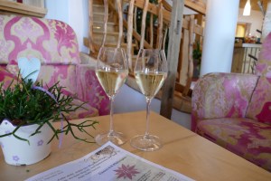 Natur- und Wellneshotel Höflehner by mosiunterwegs