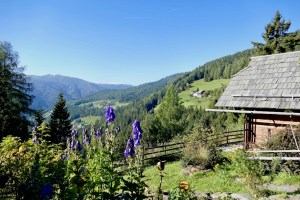 Almdorf Seinerzeit - mOsi-unterwegs