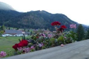 Genießerhotel Hohenfels mosi-unterwegs