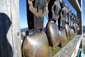 Genießerhotel Hohenfels mosi-unterwegs