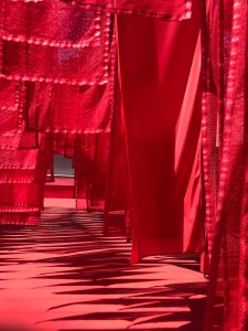 Sinnesrausch Linz - mOsi-unterwegs