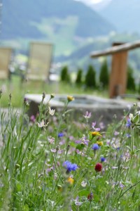 STOANA - home für alpine lovers - most-unterwegs