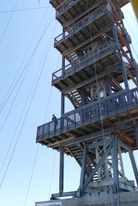 Sinnesrausch Linz - mOsi-unterwegs